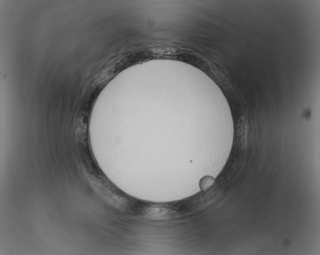X0000116110614200912211634