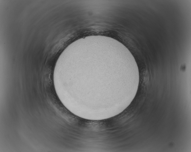 X0000116110615200912211634