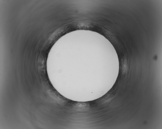 X0000116110619200912211634