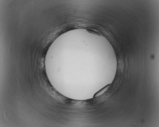 X0000116110621200912211634