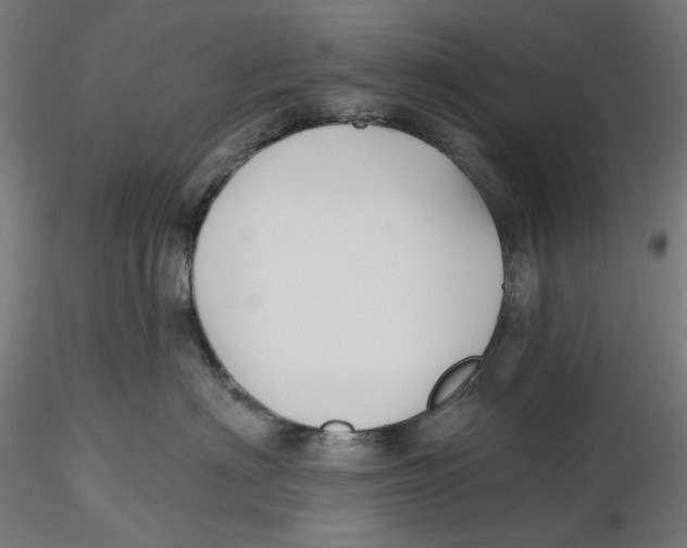 X0000116110622200912211634