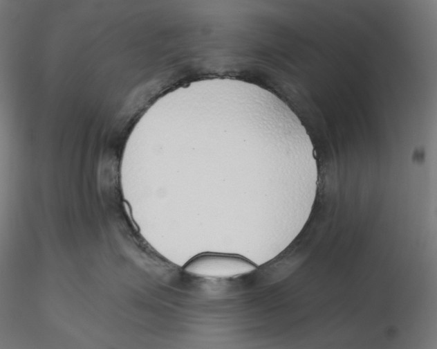 X0000116110623200912211634