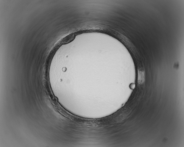 X0000116110627200912211633