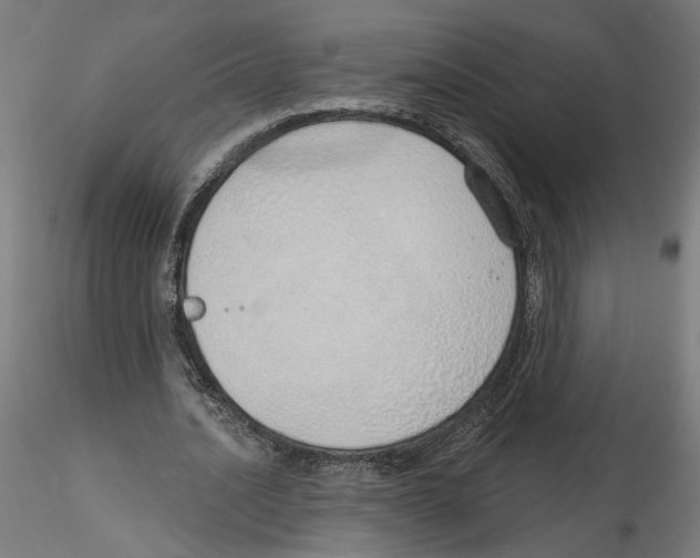 X0000116110628200912211633