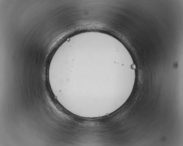 X0000116110629200912211633