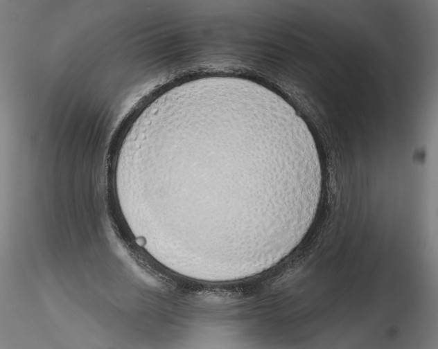 X0000116110630200912211633
