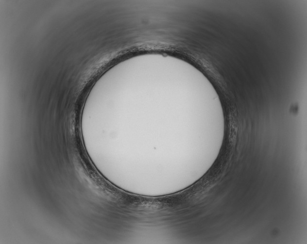 X0000116110631200912211633