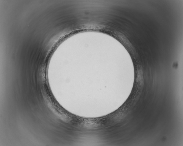 X0000116110632200912211633