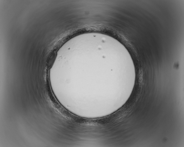 X0000116110637200912211633