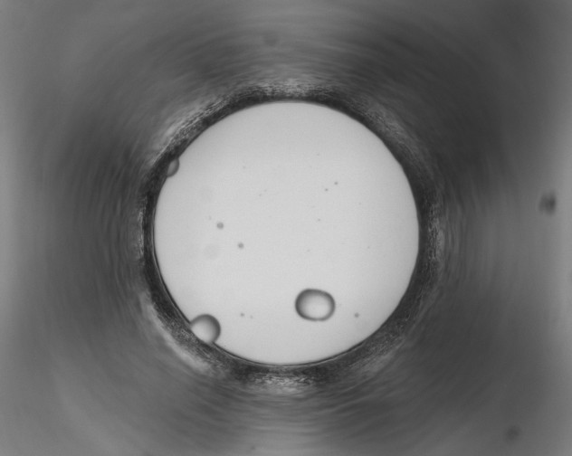 X0000116110638200912211633