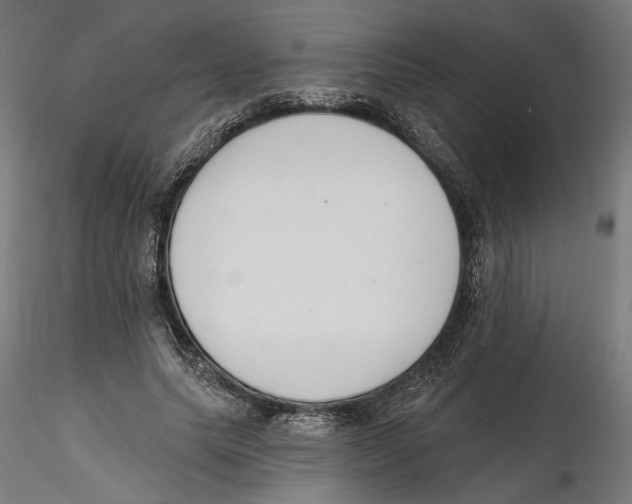 X0000116110639200912211633