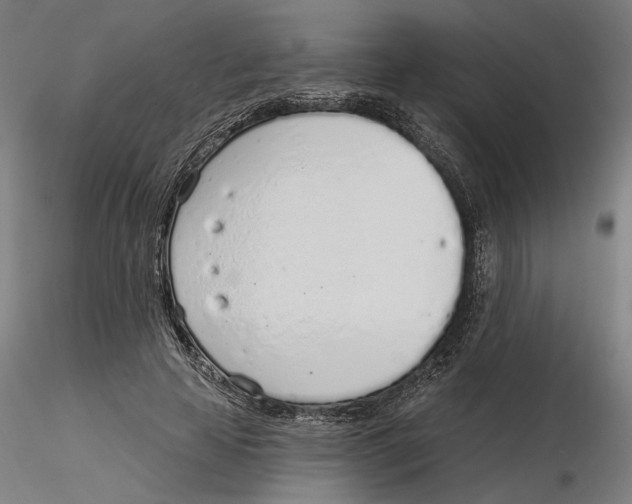 X0000116110641200912211633
