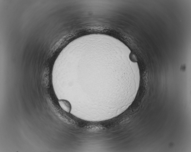 X0000116110642200912211633