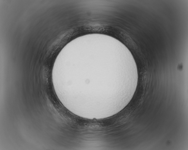 X0000116110643200912211633