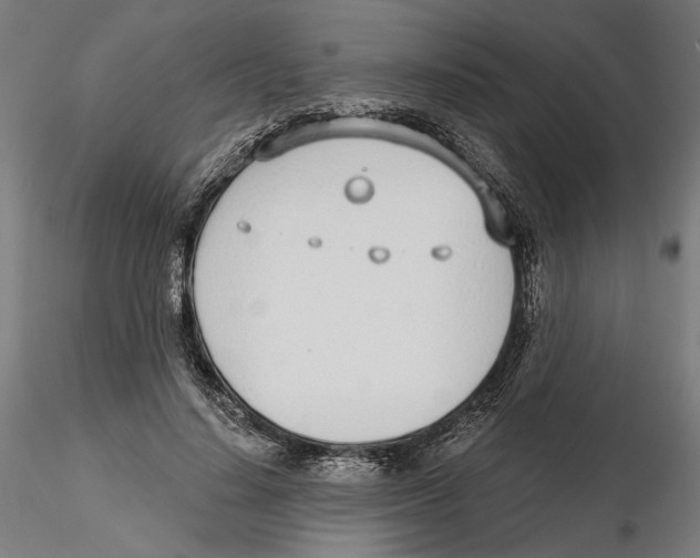 X0000116110644200912211633