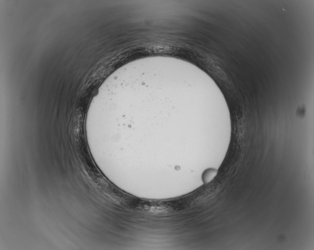 X0000116110645200912211633