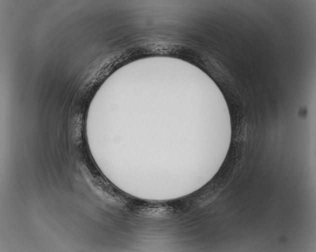 X0000116110646200912211633
