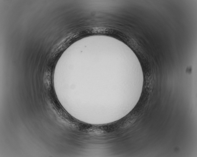 X0000116110648200912211633