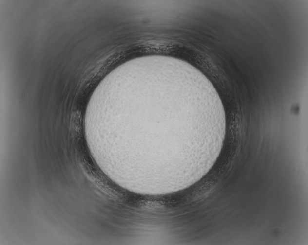 X0000116110649200912211633