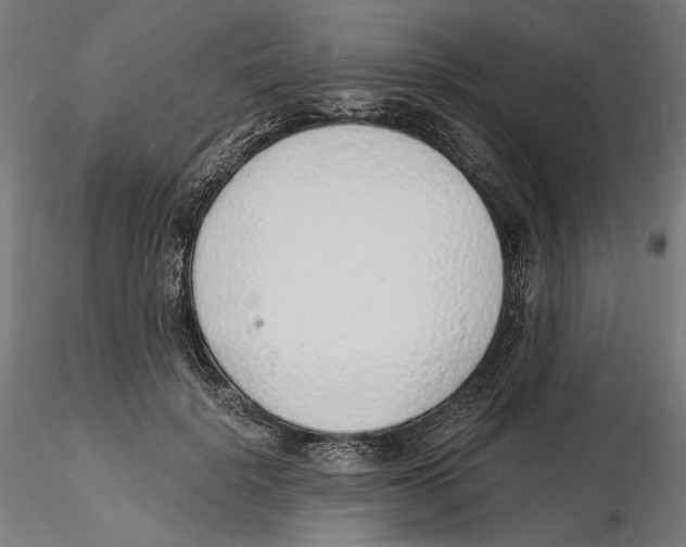 X0000116110652200912211633
