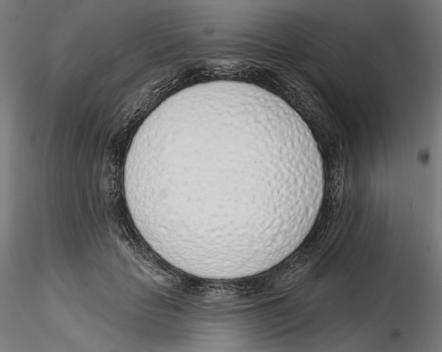 X0000116110653200912211633