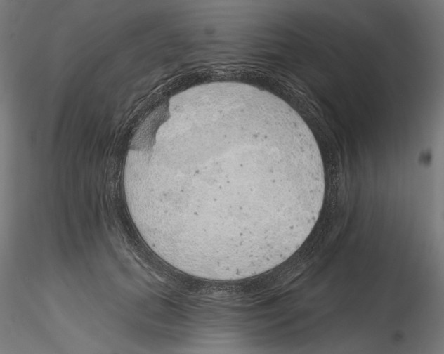 X0000116110655200912211633