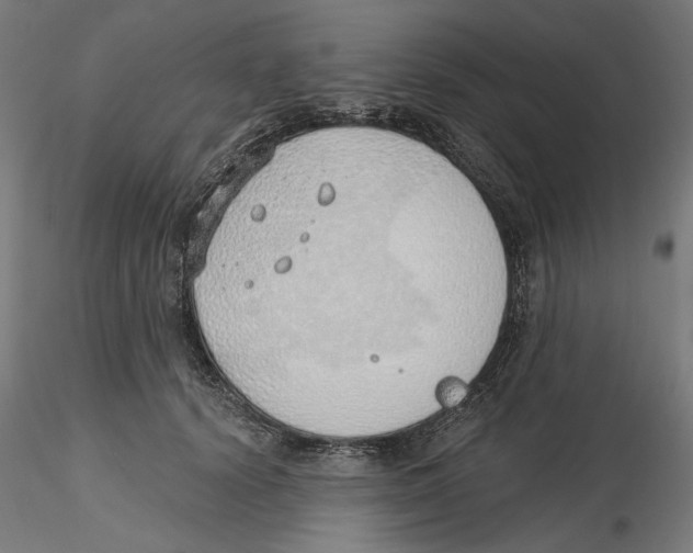 X0000116110656200912211634