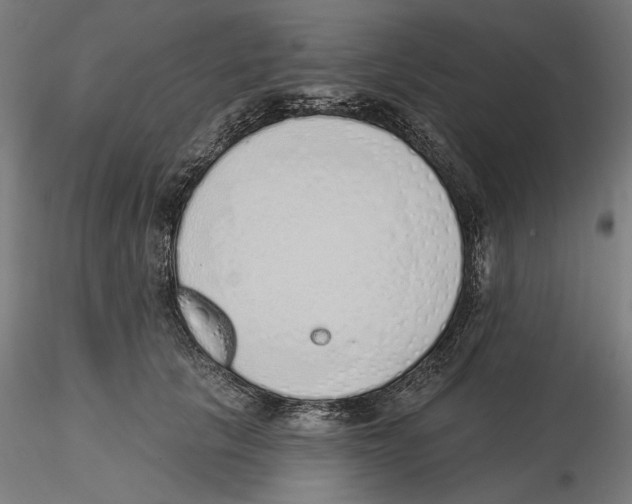 X0000116110657200912211634