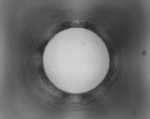 X0000116110659200912211634
