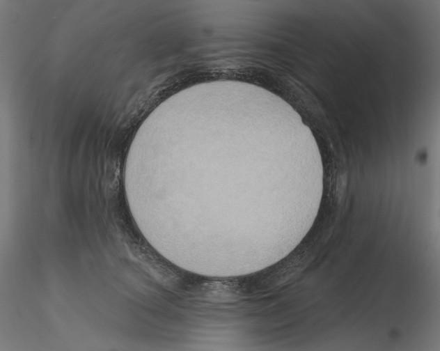 X0000116110660200912211634