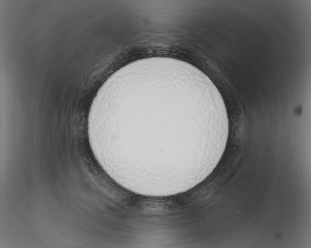 X0000116110661200912211634