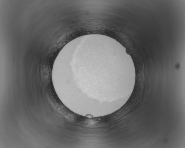 X0000116110662200912211634