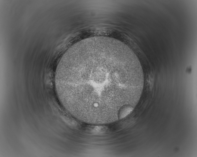 X0000116110663200912211634