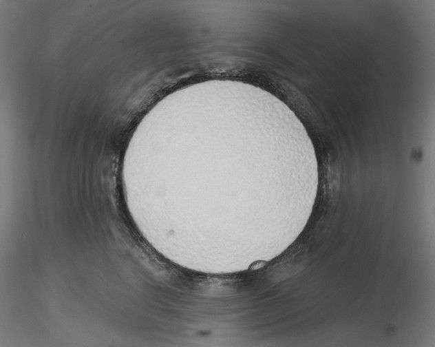 X0000116110664200912211634