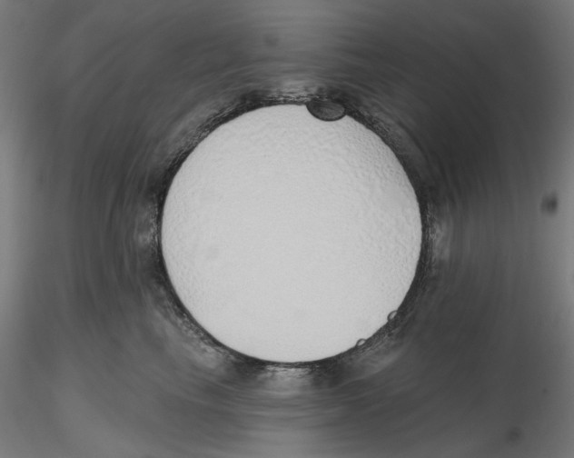 X0000116110665200912211634