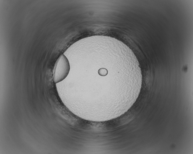 X0000116110667200912211634