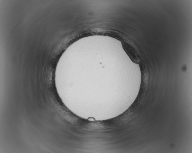 X0000116110668200912211634