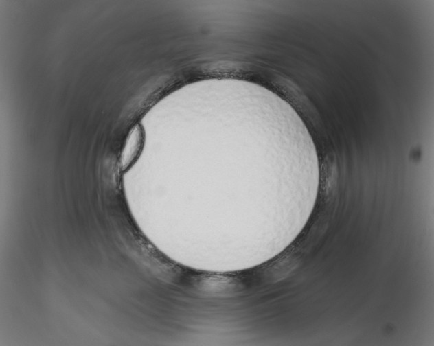 X0000116110669200912211634