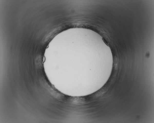 X0000116110670200912211634
