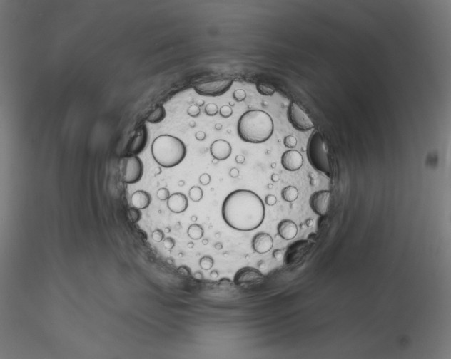 X0000116110671200912211634