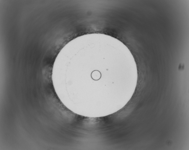 X0000116110672200912211634