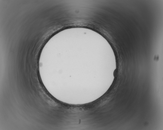 X0000116110673200912211633