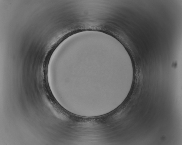 X0000116110674200912211633