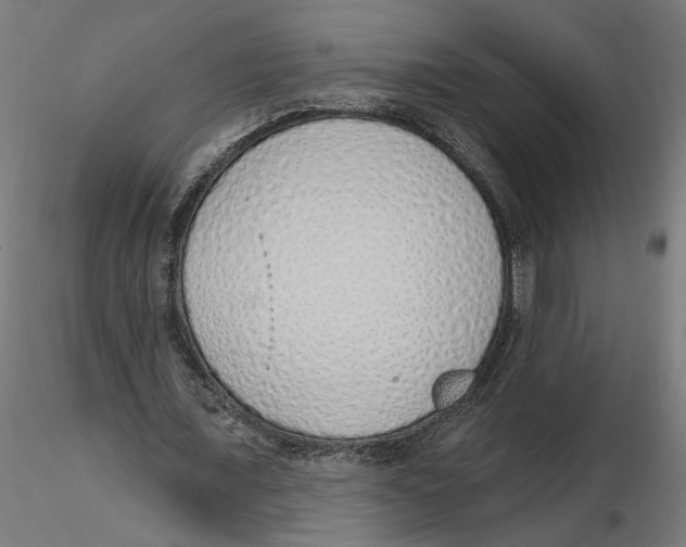 X0000116110675200912211633