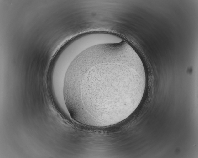 X0000116110676200912211633
