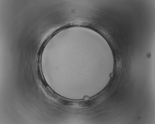 X0000116110678200912211633