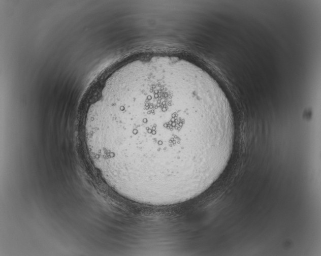 X0000116110679200912211633
