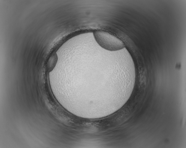 X0000116110680200912211633