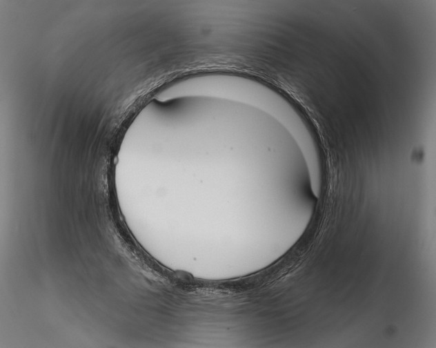 X0000116110681200912211633