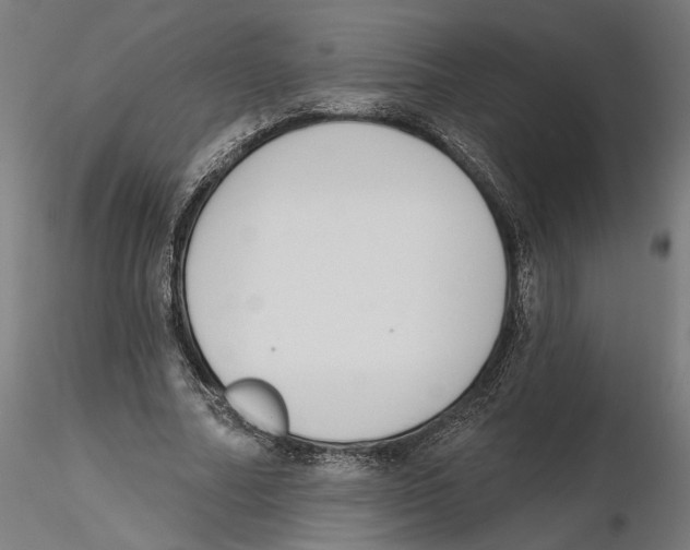 X0000116110682200912211633
